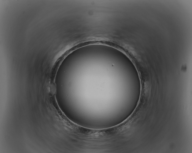 X0000089931165200707061033