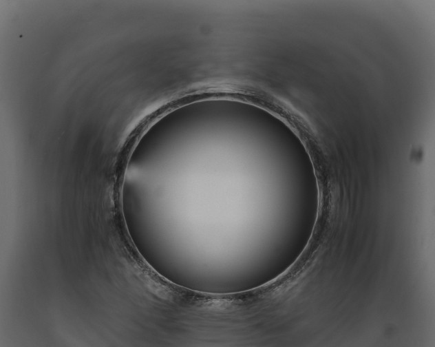 X0000089931166200707061033