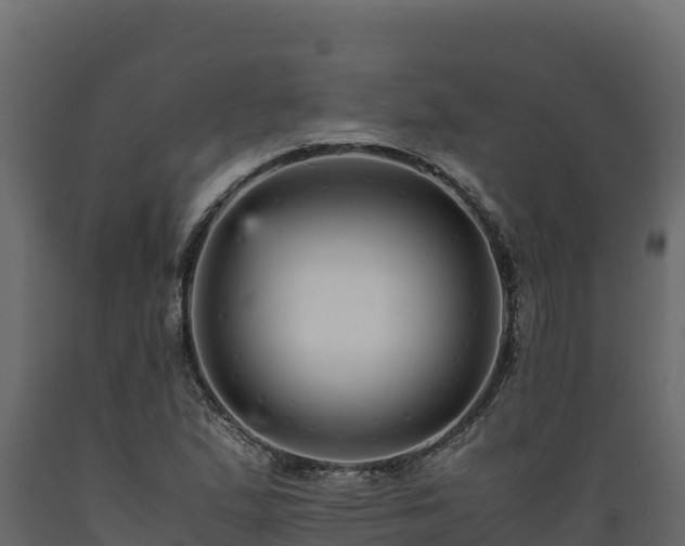 X0000089931167200707061033