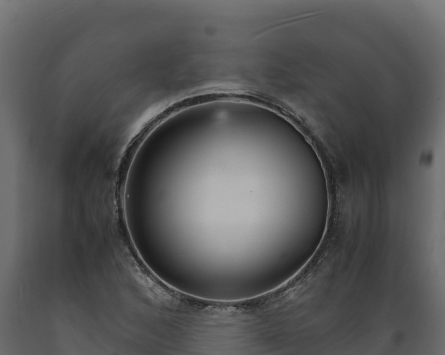 X0000089931168200707061033