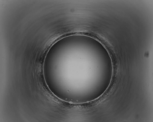 X0000089931169200707061033