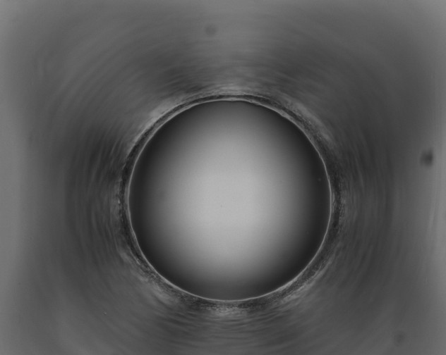 X0000089931170200707061033