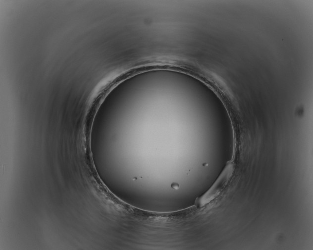 X0000089931172200707061033