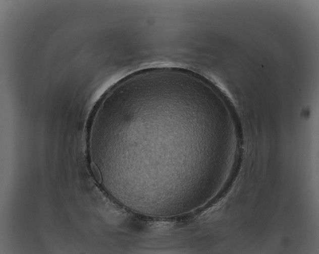 X0000089931173200707061033