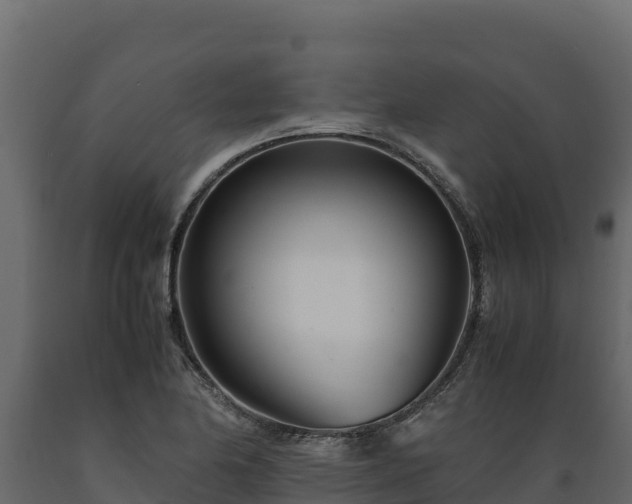 X0000089931174200707061033