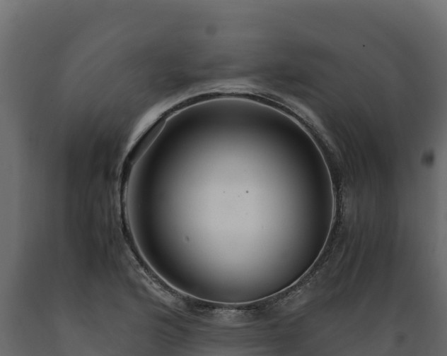 X0000089931176200707061033