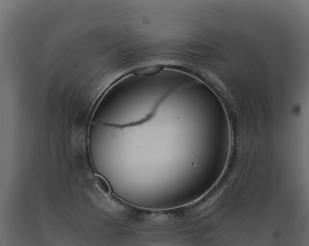 X0000089931177200707061033