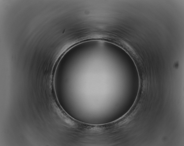 X0000089931178200707061033