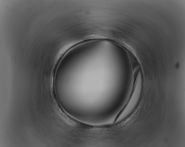 X0000089931179200707061033