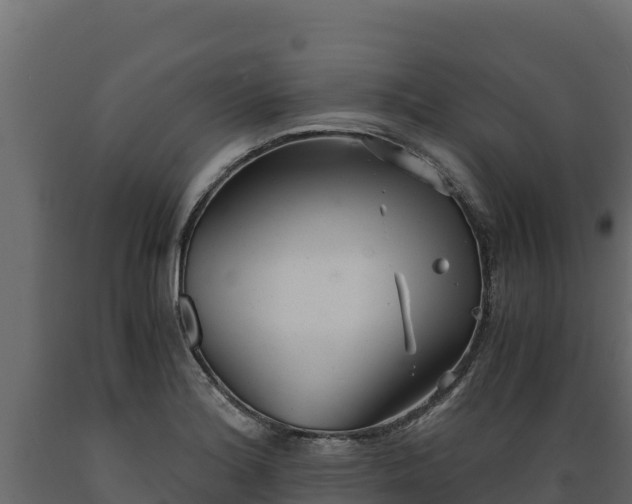 X0000089931180200707061033