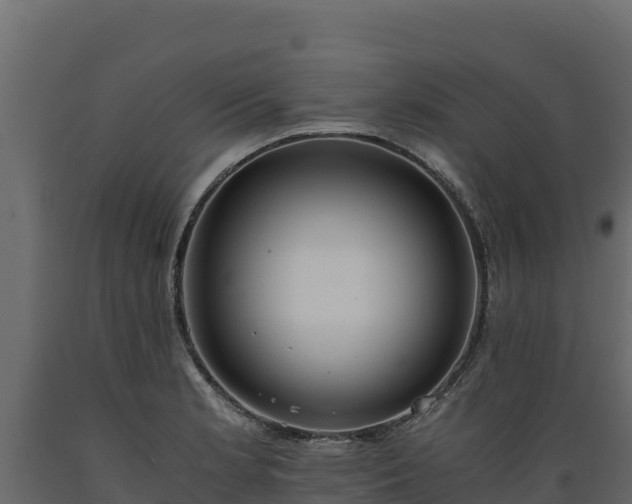 X0000089931181200707061033