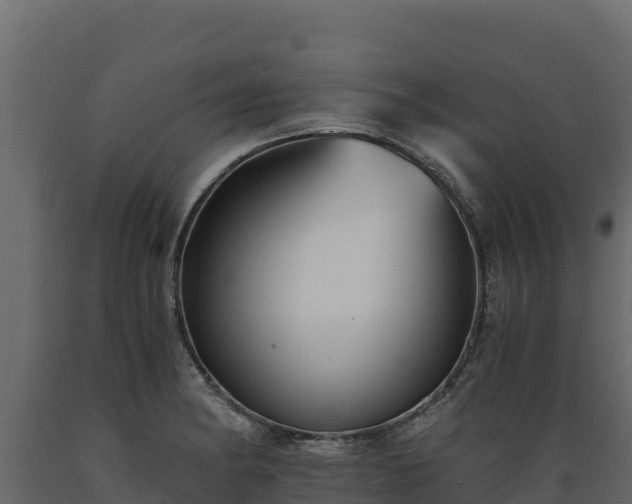 X0000089931182200707061033