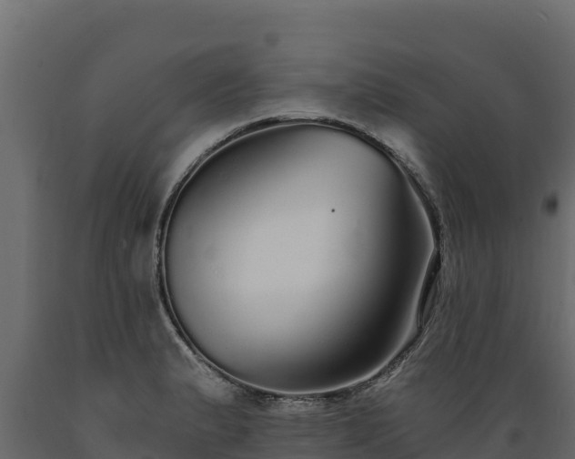 X0000089931183200707061033