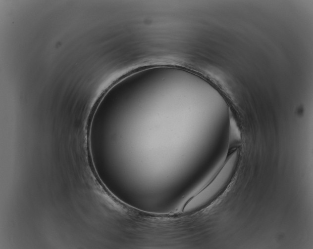 X0000089931184200707061033