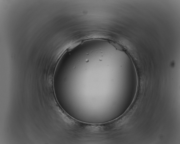 X0000089931185200707061033