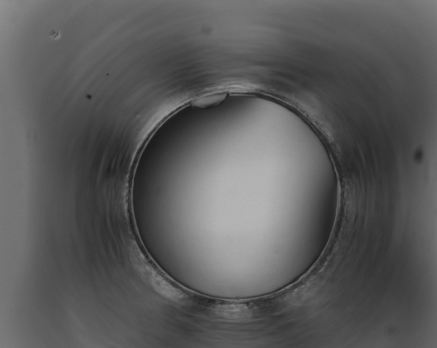 X0000089931186200707061033