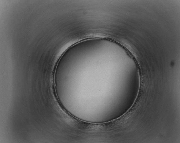 X0000089931187200707061033