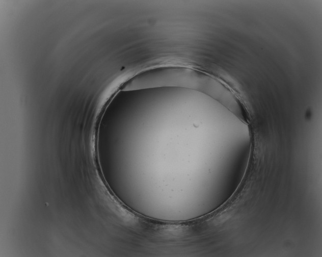 X0000089931188200707061033