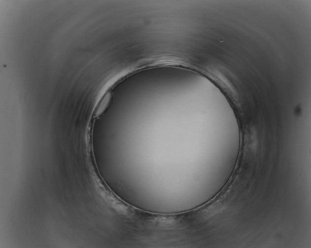 X0000089931190200707061033