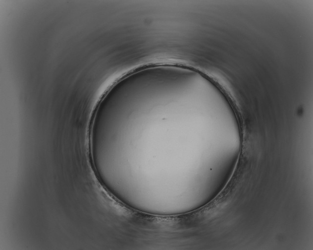 X0000089931191200707061033