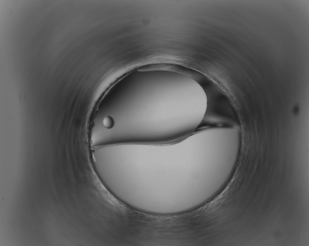 X0000089931192200707061033