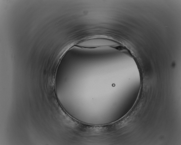 X0000089931193200707061033