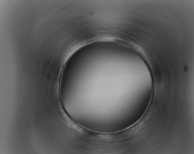 X0000089931194200707061033