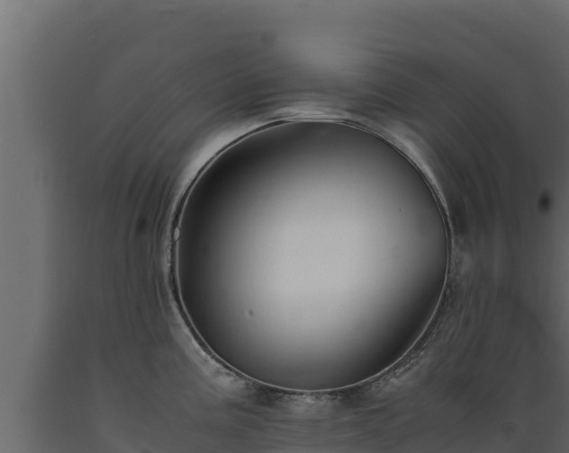 X0000089931195200707061033