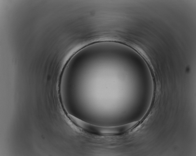 X0000089931197200707061033