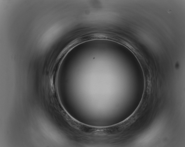 X0000089931198200707061033