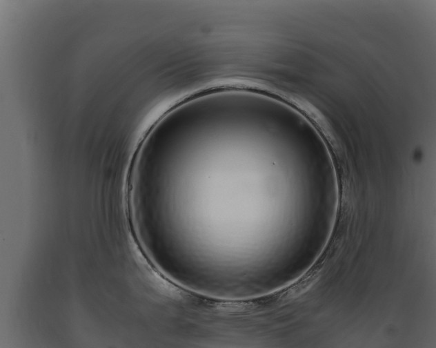 X0000089931199200707061033