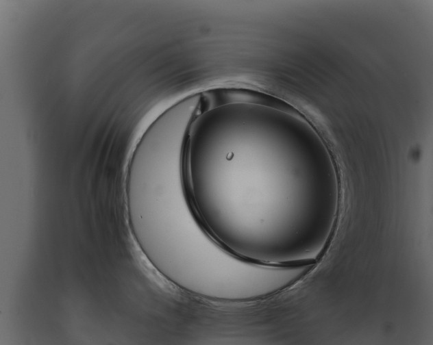 X0000089931200200707061033