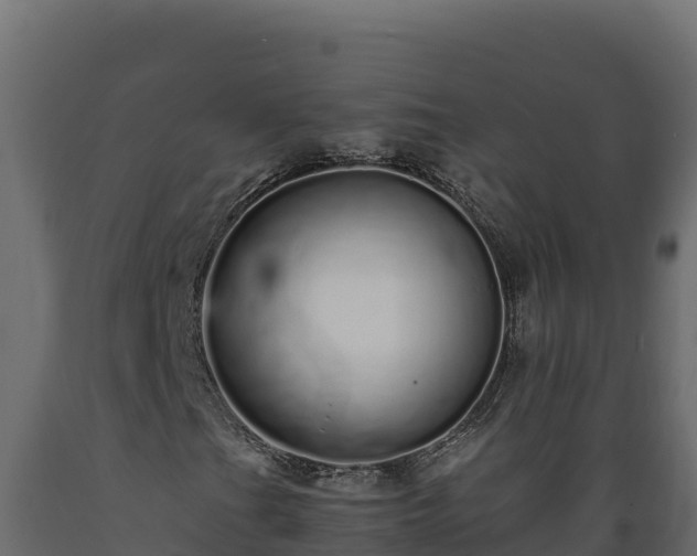 X0000089931201200707061032