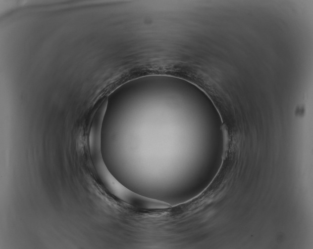 X0000089931202200707061032