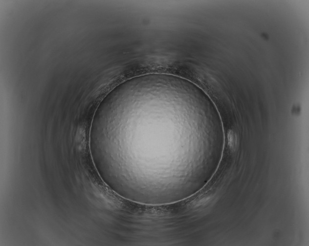 X0000089931203200707061032