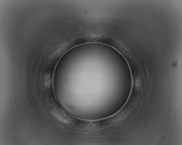 X0000089931204200707061032