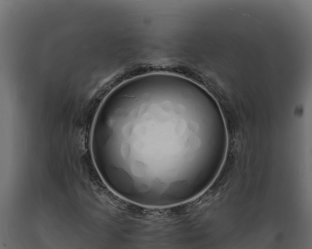 X0000089931205200707061032