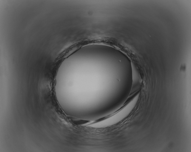 X0000089931206200707061032