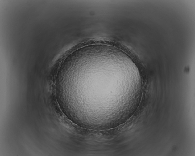 X0000089931207200707061032