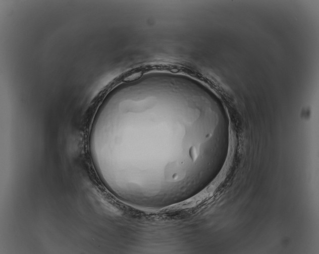 X0000089931208200707061032