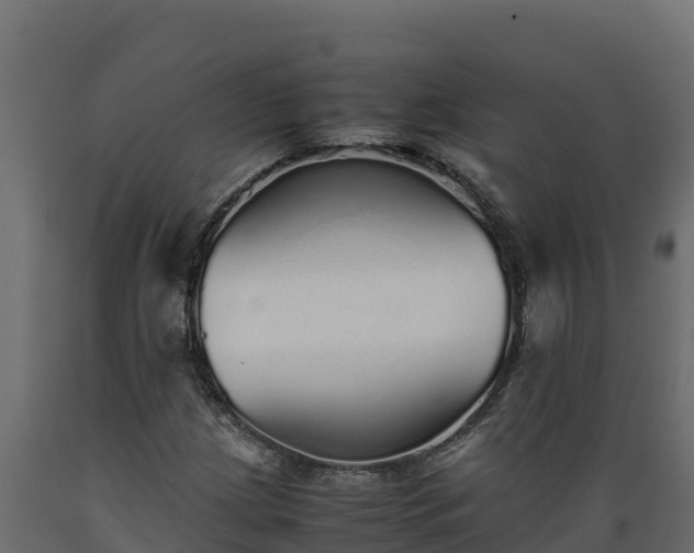 X0000089931209200707061032