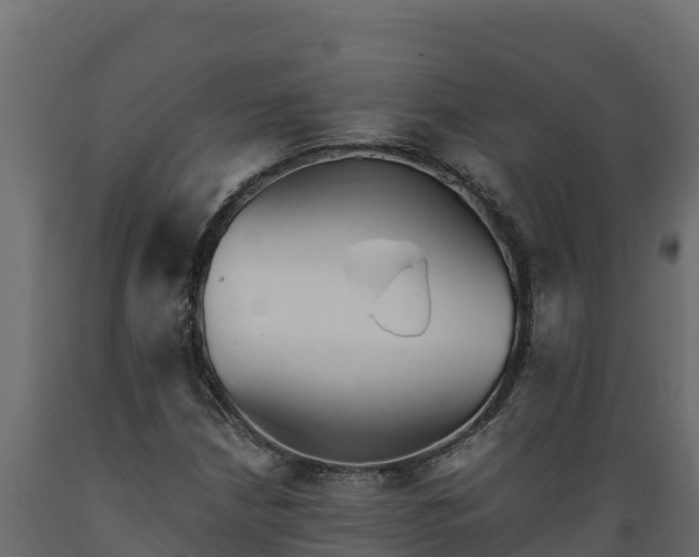 X0000089931210200707061032