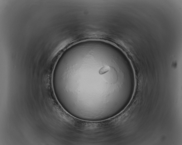 X0000089931211200707061032