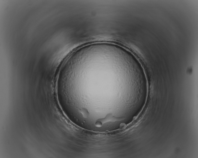 X0000089931212200707061032