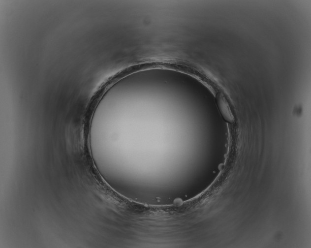 X0000089931214200707061032