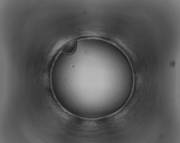 X0000089931215200707061032