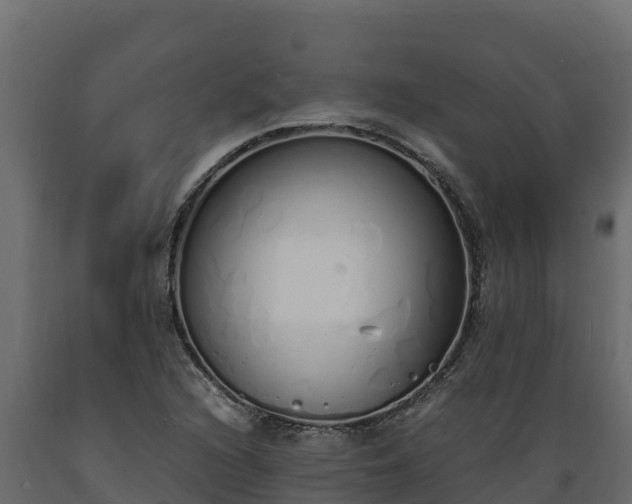 X0000089931216200707061032