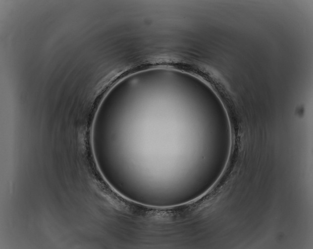 X0000089931217200707061032