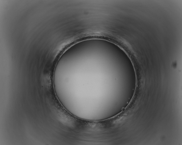 X0000089931218200707061032