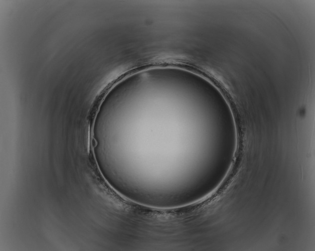 X0000089931219200707061032